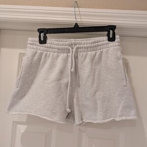 TNA For Aritiza Gray Cozy Fleece Boyfriend Shorts Size Medium